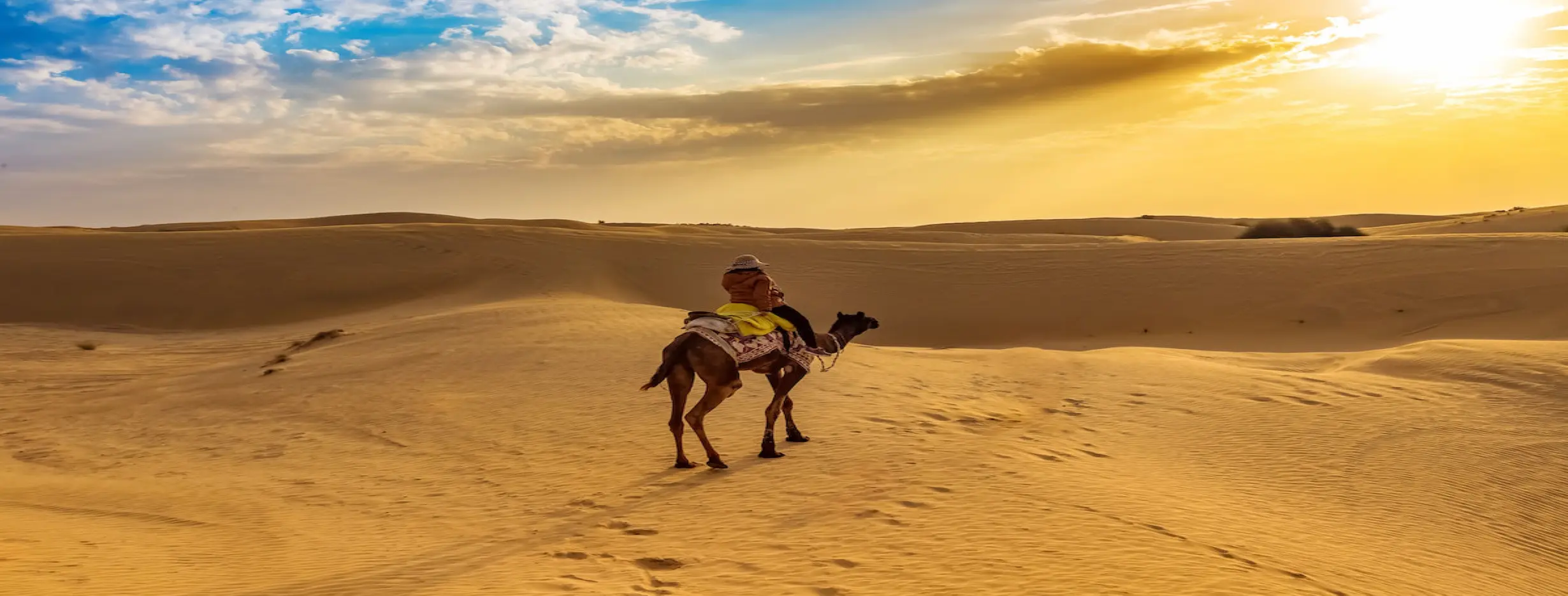 Image for Desert Safari
